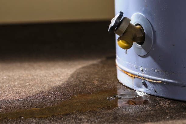 Best Water damage restoration process  in Mcqueeney, TX