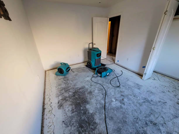 Best Water damage restoration near me  in Mcqueeney, TX