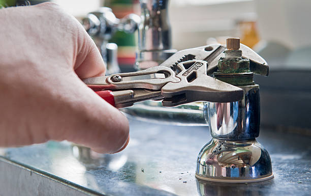 Best Mold removal after water damage  in Mcqueeney, TX