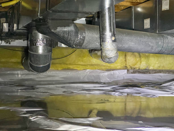 Best Sewage cleanup and water damage restoration  in Mcqueeney, TX