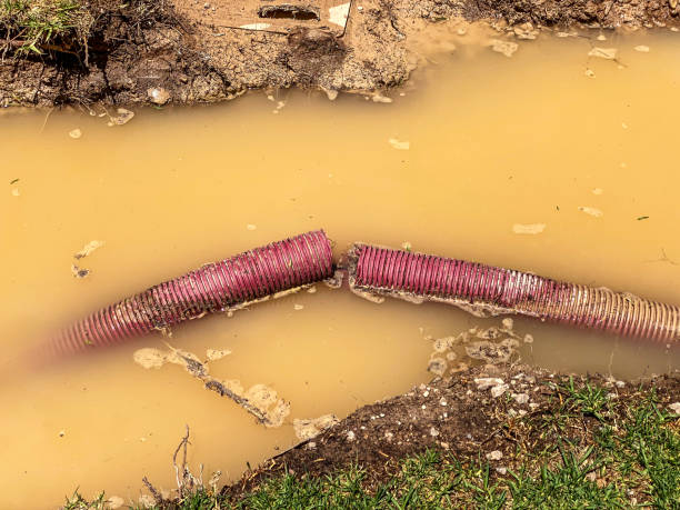 Best Water damage restoration near me  in Mcqueeney, TX